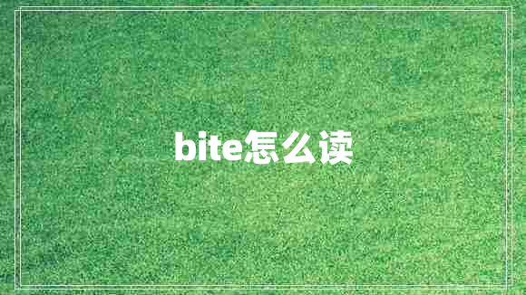 bite怎么读