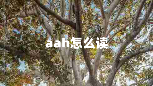 aah怎么读