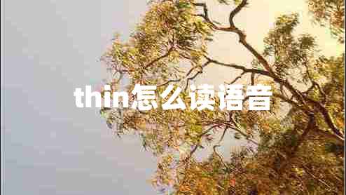 thin怎么读语音