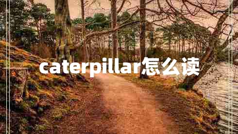 caterpillar怎么读