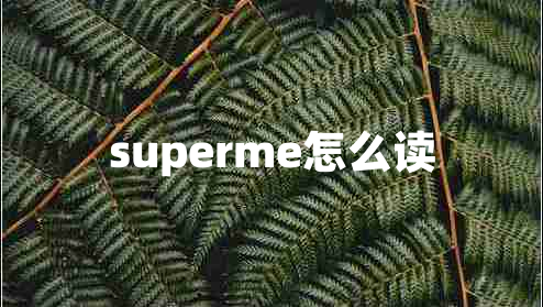 superme怎么读