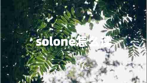 solone怎么读