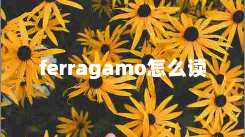 ferragamo怎么读