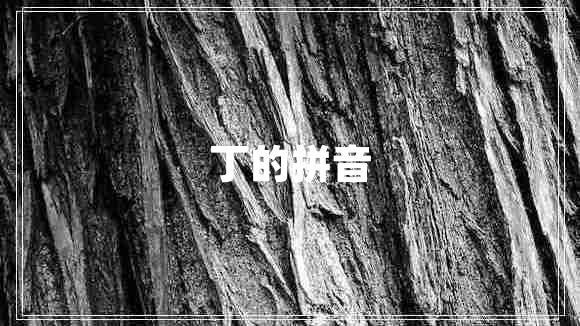 丁的拼音