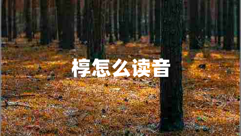 椁怎么读音