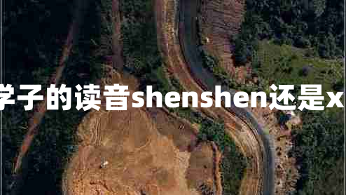 莘莘学子的读音shenshen还是xinxin