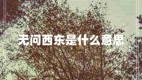 无问西东是什么意思