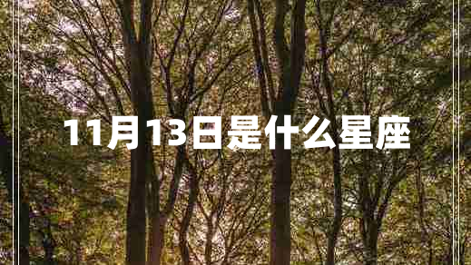 11月13日是什么星座