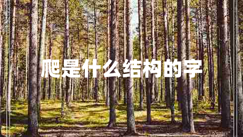 爬是什么结构的字