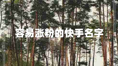 容易涨粉的快手名字