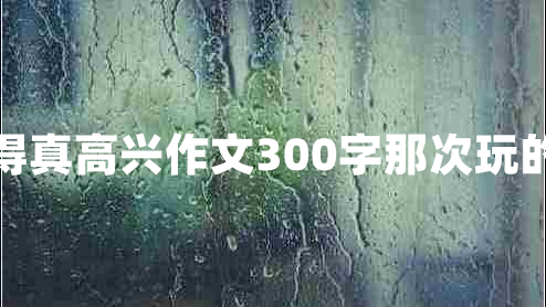 那次玩得真高兴作文300字那次玩的真高兴