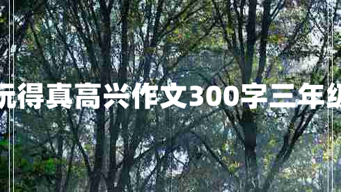 那次玩得真高兴作文300字三年级上册