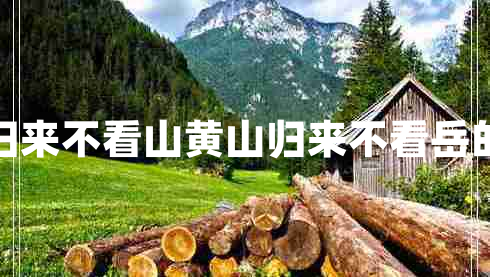 五岳归来不看山黄山归来不看岳的意思