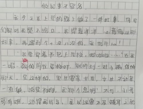 夏天校园即景作文25字