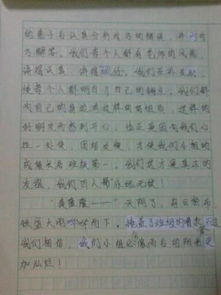 小学生关于校园生活故事的作文600字