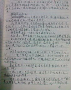 校园里的什么半命题作文怎么写