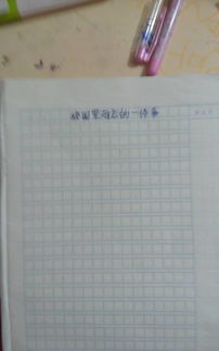 难忘校园情作文500字,浓浓校园情作文500字,校园情作文500字