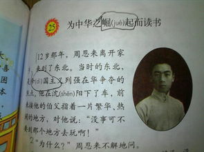 我在校园的感受作文1000字作文