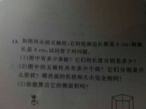 让博物馆走进校园作文500字