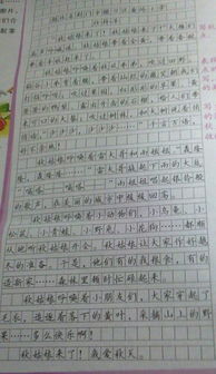 校园里的景色作文600字