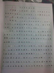 美丽的校园作文500字优秀作文,我们美丽的校园作文500字,美丽的校园作文500字左右