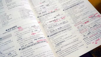 校园生活作文三年级,校园生活作文300字,校园生活600字作文