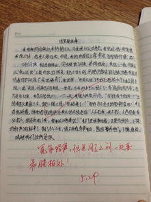 我眼中的校园作文初一650字