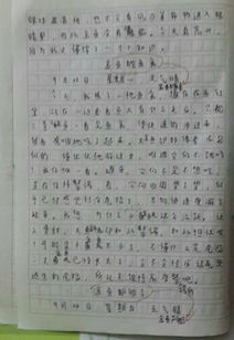 四完小校园作文350字