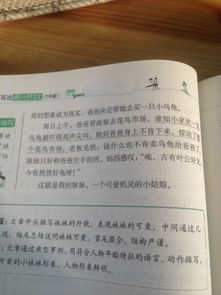 熟悉的校园作文三百字以上