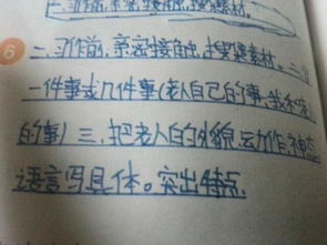 校园的老人作文600字