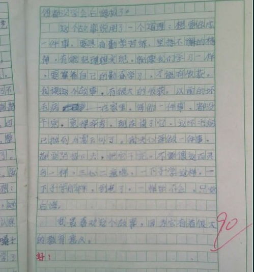 小学校园晨景作文800字