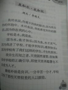 作文210字《我们的校园》