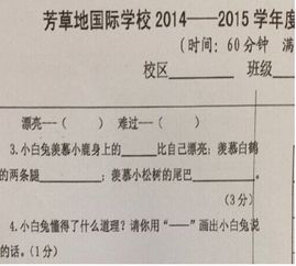 作文,上册,校园