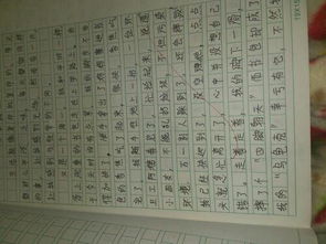 秋天的校园作文400字4一5个自然段,秋天的校园400字作文四年级,秋天的校园400字作文三年级