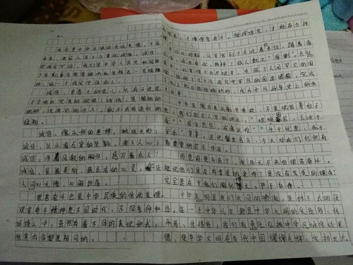 校园传统文化节作文500字