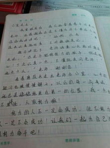 校园里的什么作文500字,校园里的什么树作文300个字,校园里的什么作文450字