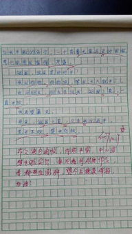 关于校园老师真情的作文