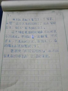 写校园的景物作文400字四级作文