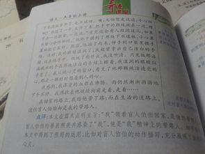 作文,丰富多彩,校园,百字