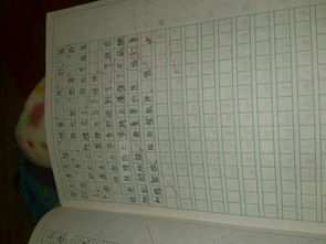 未来的校园作文400字一想象作文,未来的校园作文400字六年级,未来的校园作文400字五年级