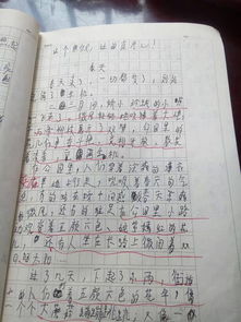 小学生四级关于春天的校园作文400字左右