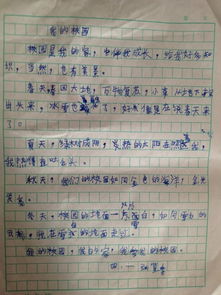 小学生描写自己性格的作文,小学生校园安全作文,小学生校园种菜作文