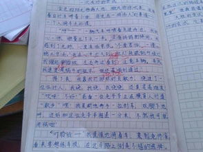 校园禁烟作文400个字