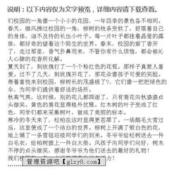 刚上初中新校园的作文