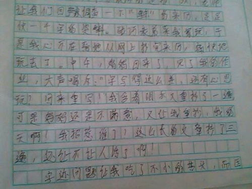 校园暖600字作文