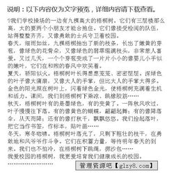 实验校园梧桐树作文