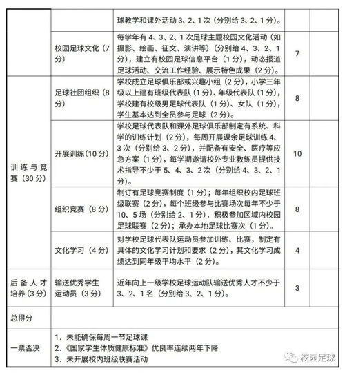 围绕校园足球赛的作文