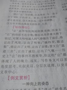 记一件校园文明小事作文600字