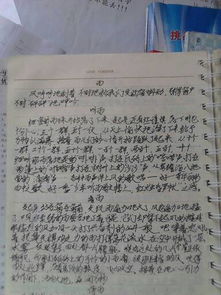 未来的校园风景线作文400字四级