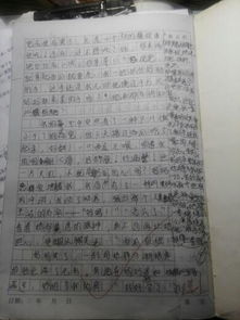 校园里的感动作文,校园的感动的事作文600字,感动的事作文800字